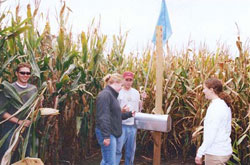 Corn made visitors pause at a checkpoint. Checkpoints provide clues on how to get out of the maze. Photo by Anna Thayer.