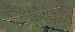 X Fields Maze