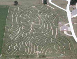 Statue of Liberty Maze