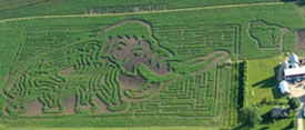 Wolly Mammoth Maze