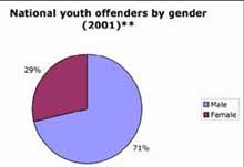 National youth offenders by gender