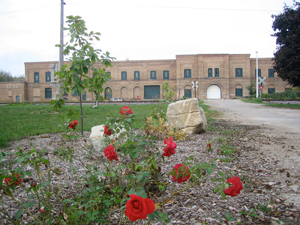 picture of a building and flowers