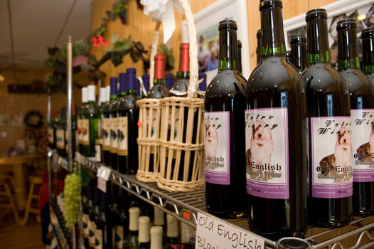 Wine for sale