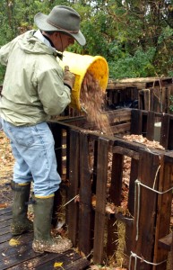 Kip Jacobs empties bins of scrap food