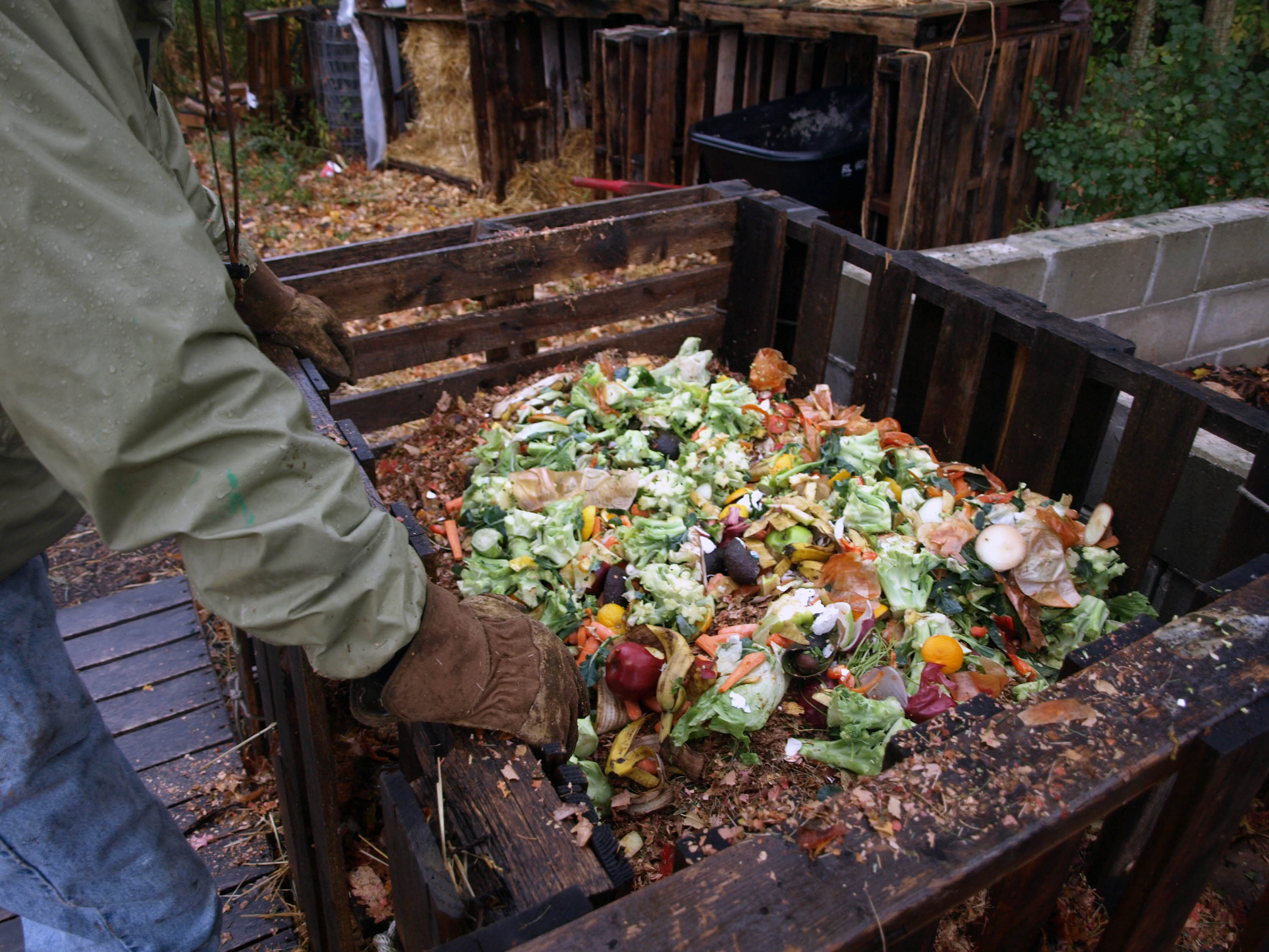 As Kip Jacob rests between adding layers of leaves and food scraps, his compost pile is already breaking down into soil.
Photo by: Kendra Dawson