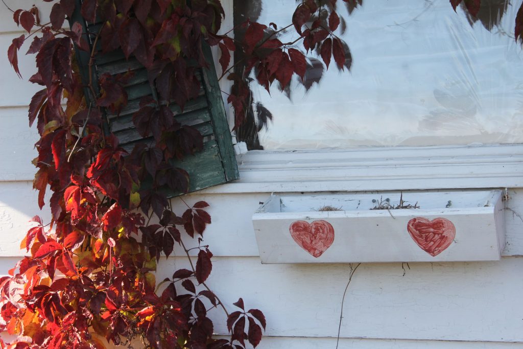 House window box with hearts and vines growing up the siding
